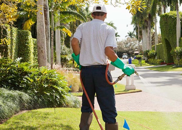 About Marion CT Pest Control